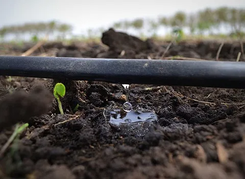 لوله پلی اتیلن کشاورزی عمده و نحوه خرید عمده