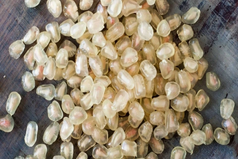 انار سفید شیرین همراه با توضیحات کامل و آشنایی