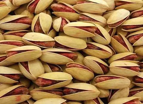 راهنمای خرید پسته لوکس رفسنجان با شرایط ویژه و قیمت استثنایی