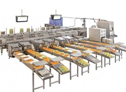 دستگاه جمع آوری تخم مرغ فارم پکر آشنایی صفر تا صد قیمت خرید عمده