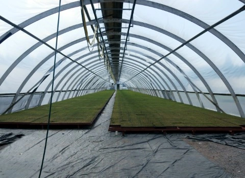 لوله سازه گلخانه آشنایی صفر تا صد قیمت خرید عمده