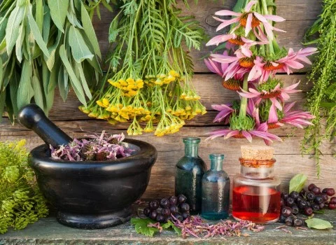 خرید عمده گیاهان دارویی کوهی کرمانشاه با بهترین شرایط