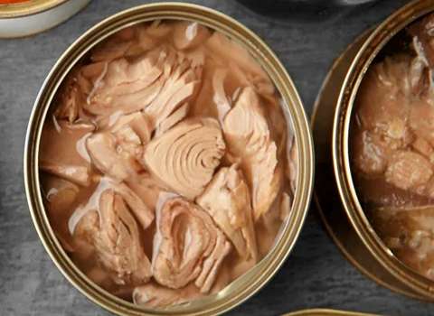 لیست قیمت تن ماهی تند به صورت عمده و با صرفه