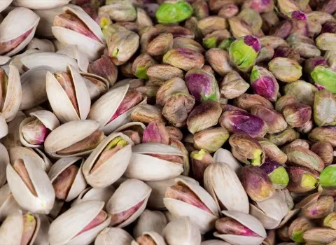 پسته رفسنجان تبریز همراه با توضیحات کامل و آشنایی