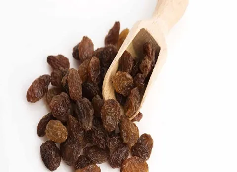 خرید عمده کشمش صادراتی ملکان با بهترین شرایط