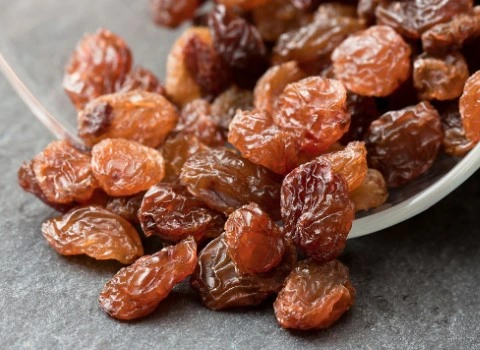 راهنمای خرید کشمش تاکستان عمده با شرایط ویژه و قیمت استثنایی