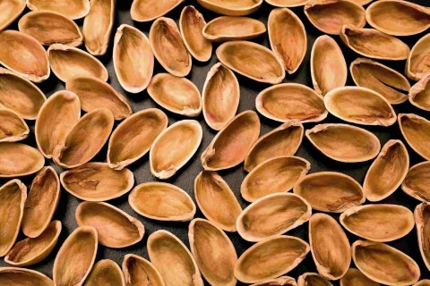 آموزش خرید پوست پسته خوراک دام صفر تا صد