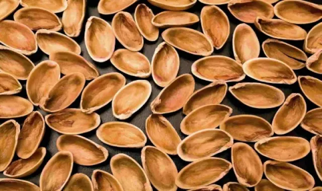 آموزش خرید پوست پسته خوراک دام صفر تا صد