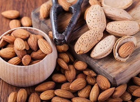 بادام سنگی امسال آشنایی صفر تا صد قیمت خرید عمده