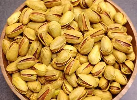 پسته اکبری کیلویی همراه با توضیحات کامل و آشنایی