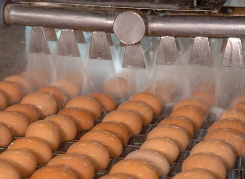 دستگاه شستشوی تخم مرغ همراه با توضیحات کامل و آشنایی