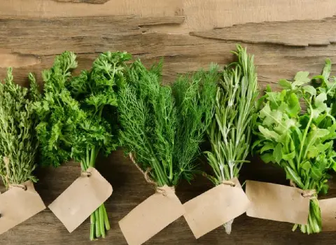 مشخصات گیاه دارویی آرامش اعصاب و نحوه خرید عمده