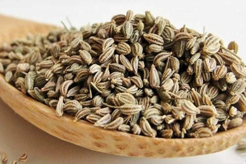 مشخصات گیاه دارویی انیسون و نحوه خرید عمده