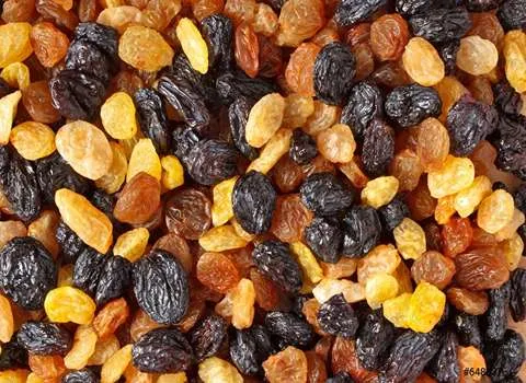 قیمت خرید عمده کشمش آفتابی بی دانه ارزان و مناسب