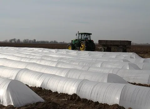 مشخصات نایلون کشاورزی مالچ و نحوه خرید عمده