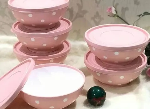 قیمت و خرید کاسه پلاستیکی درب دار با مشخصات کامل