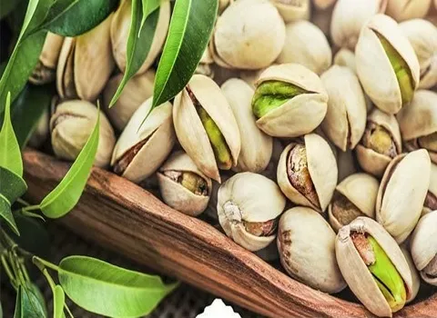 پسته اکبری سبز همراه با توضیحات کامل و آشنایی