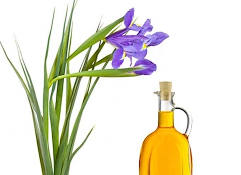 خرید عمده روغن گل زنبق با بهترین شرایط