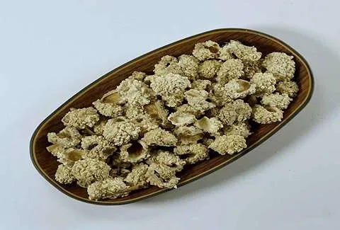 گیاه دارویی شکر تیغال همراه با توضیحات کامل و آشنایی