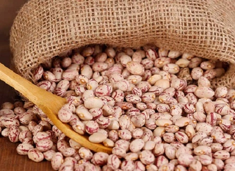 مشخصات لوبیا چیتی دو رنگ و نحوه خرید عمده