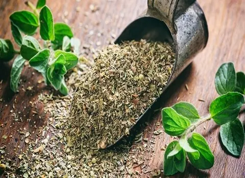 لیست قیمت پونه کوهی خشک شده به صورت عمده و با صرفه