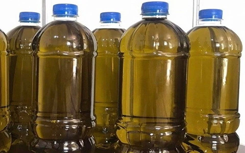 راهنمای خرید روغن زیتون ۵ لیتری با شرایط ویژه و قیمت استثنایی