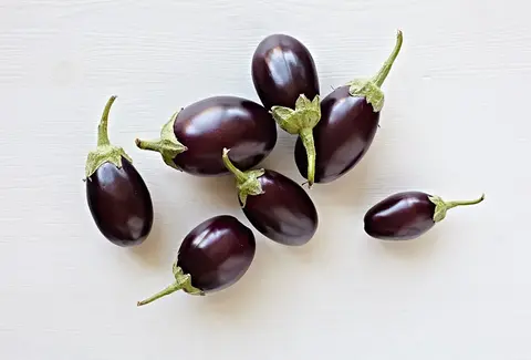 آموزش خرید بادمجان گرد بنفش تایلندی صفر تا صد