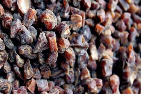 لیست قیمت چیپس خرما خانگی به صورت عمده و با صرفه