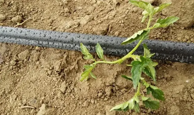 مشخصات نوار تیپ آبیاری زیر سطحی و نحوه خرید عمده