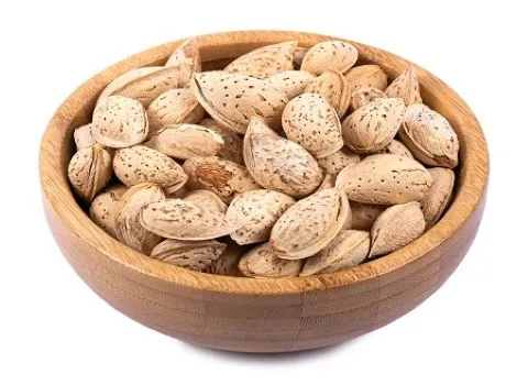 راهنمای خرید بادام درختی با پوست با شرایط ویژه و قیمت استثنایی
