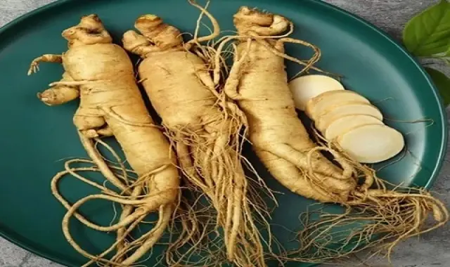 راهنمای خرید داروی گیاهی جینسینگ با شرایط ویژه و قیمت استثنایی