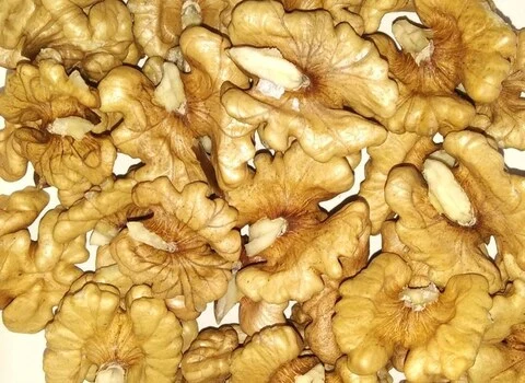 مشخصات مغز گردو خارجی عمده و نحوه خرید عمده