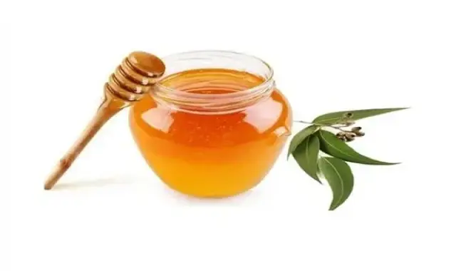 آموزش خرید عسل اکالیپتوس خالص صفر تا صد