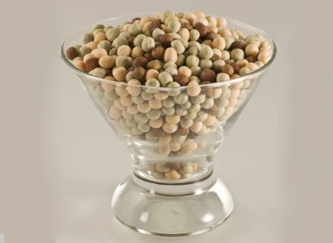 مشخصات نخود ریز کرمانشاه و نحوه خرید عمده