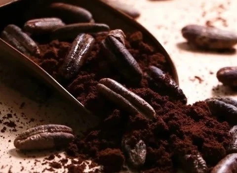 قیمت خرید عمده قهوه هسته خرما ارزان و مناسب