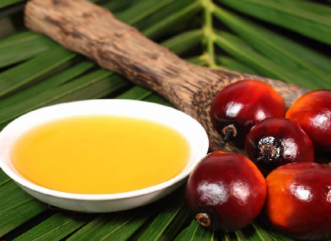 قیمت و خرید روغن هسته خرما با مشخصات کامل