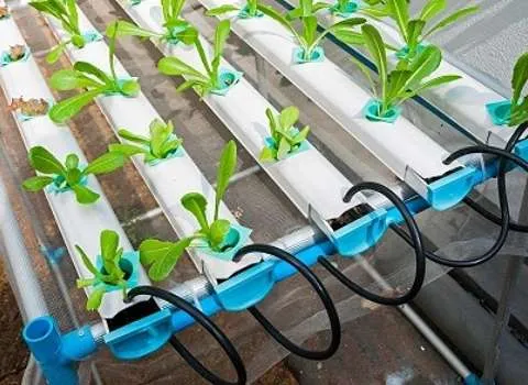 راهنمای خرید تجهیزات گلخانه ای تبریز با شرایط ویژه و قیمت استثنایی