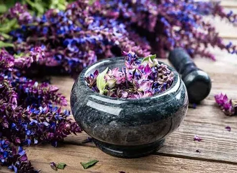 لیست قیمت گیاه دارویی مریم گلی به صورت عمده و با صرفه