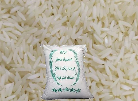 خرید عمده برنج دم سیاه آستانه اشرفیه با بهترین شرایط