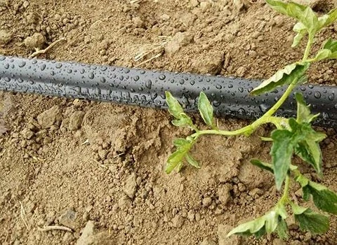 راهنمای خرید لوله سوراخ دار بارانی با شرایط ویژه و قیمت استثنایی