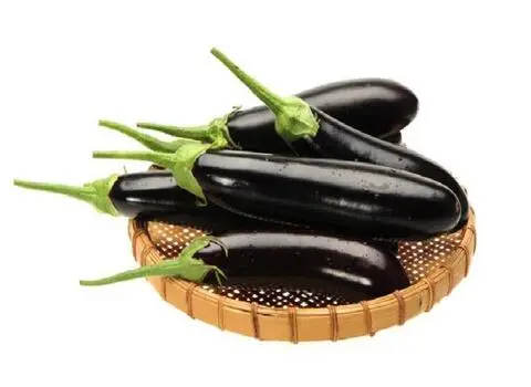 بادمجان قلمی صادراتی همراه با توضیحات کامل و آشنایی