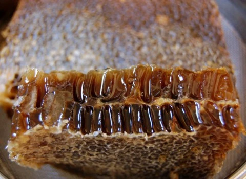 عسل موم دار سیاه آشنایی صفر تا صد قیمت خرید عمده