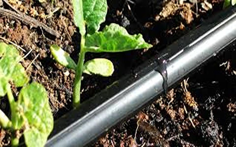 لوله تیپ آبیاری قطره ای همراه با توضیحات کامل و آشنایی