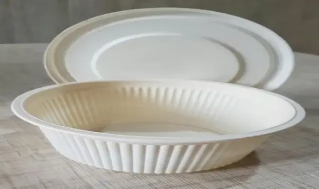 ظروف یکبارمصرف درب دار آشنایی صفر تا صد قیمت خرید عمده