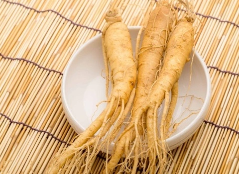 مشخصات گیاه دارویی جینسینگ عمده و نحوه خرید عمده