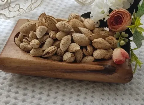 بادام درختی کاغذی همراه با توضیحات کامل و آشنایی
