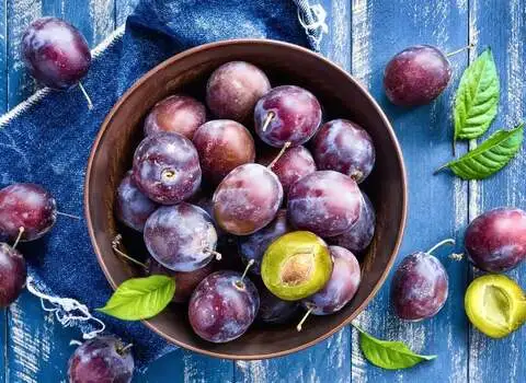 آموزش خرید آلو سیاه خرم آباد صفر تا صد