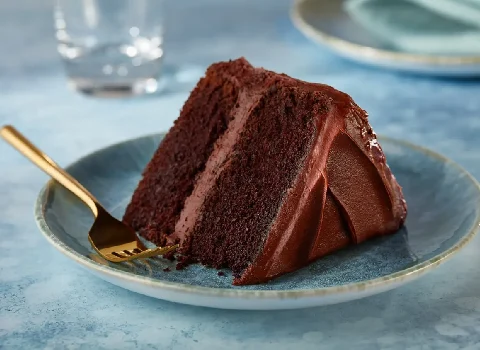 قیمت و خرید کیک کاکائویی جدید با مشخصات کامل