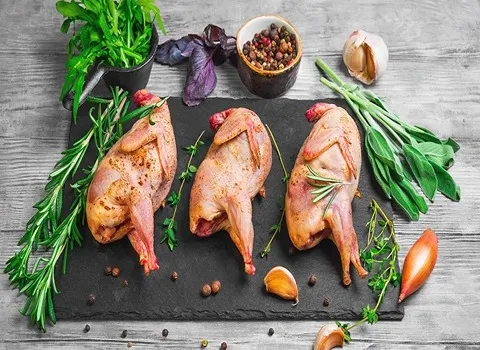 قیمت و خرید گوشت بلدرچین تازه با مشخصات کامل