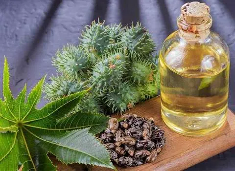 روغن کرچک تصفیه نشده آشنایی صفر تا صد قیمت خرید عمده